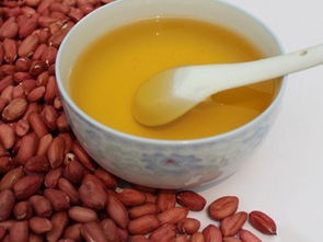 東莞全家福膳食糧油配送服務 價格詳情與餐飲解決方案